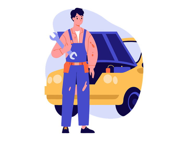 Professional car diagnostic scan and fault finding