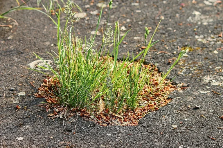 Potholes damaging car suspension