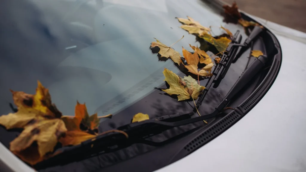 Close-up of autumn leaves on a car windshield, showcasing a serene fall aesthetic — SSK Mechanics guide to Vauxhall Corsa Wipers, Bulbs and Fuse Changes
