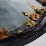 Close-up of autumn leaves on a car windshield, showcasing a serene fall aesthetic — SSK Mechanics guide to Vauxhall Corsa Wipers, Bulbs and Fuse Changes
