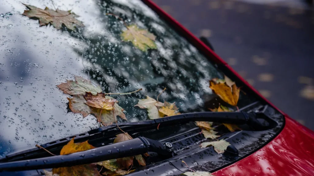 Close-up of wet car windshield with fall leaves, creating a moody autumn scene — SSK Mechanics guide to Wiper Blade Replacement: A Simple DIY Job