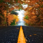 A wet, leaf-covered road in a tree-lined West Yorkshire suburb during autumn