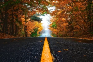 A wet, leaf-covered road in a tree-lined West Yorkshire suburb during autumn