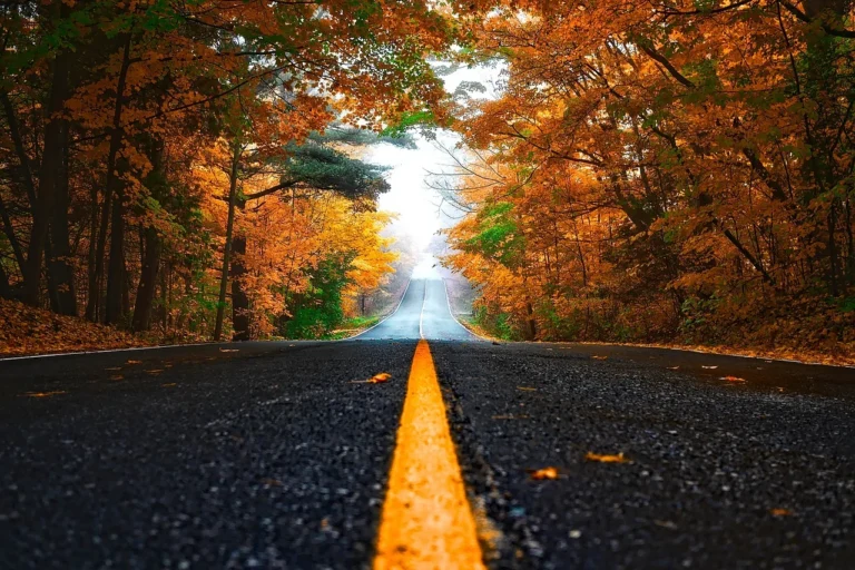 A wet, leaf-covered road in a tree-lined West Yorkshire suburb during autumn
